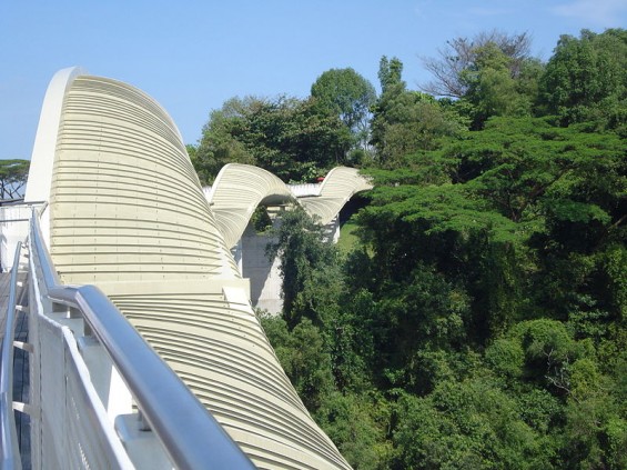 Henderson_Waves1-565x423